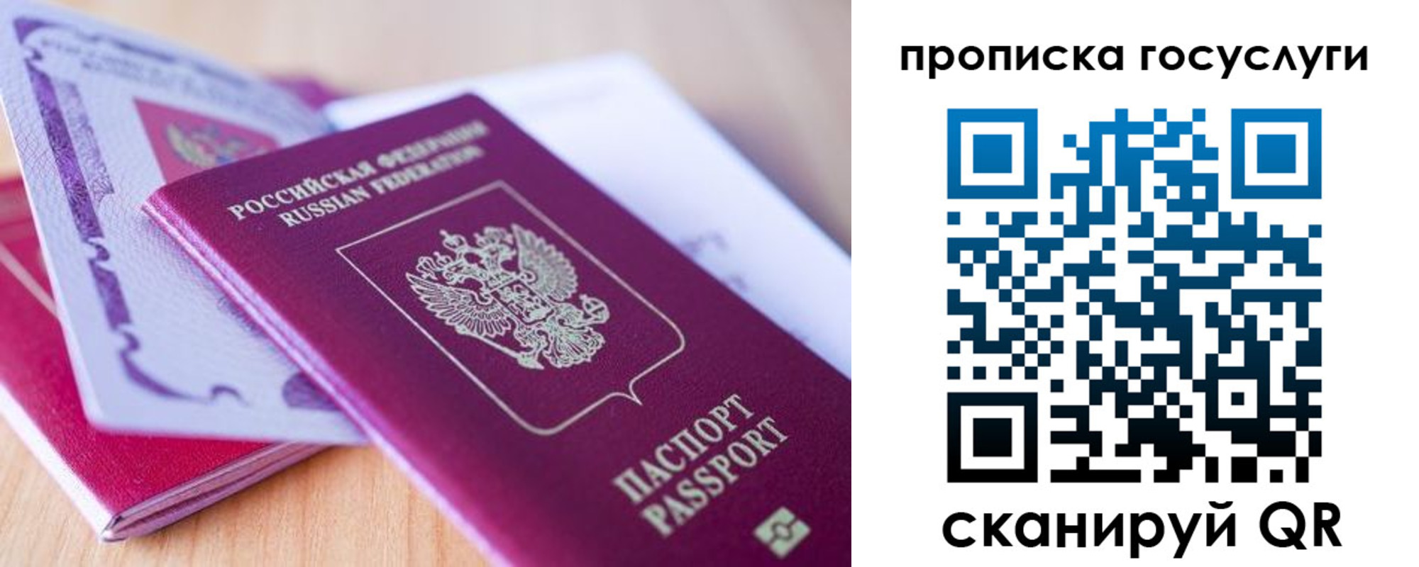 пропишу в квартире в Севастополе